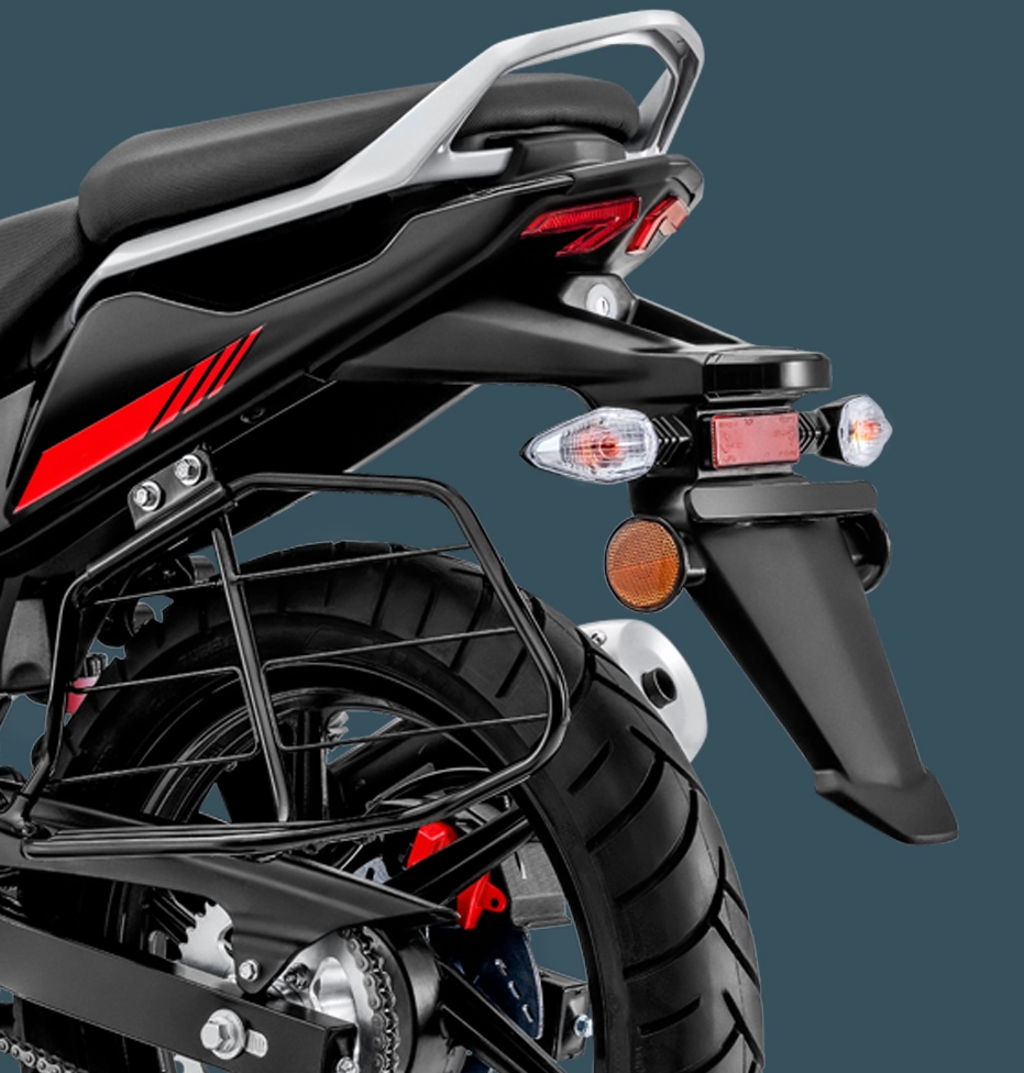 Pillion Handle