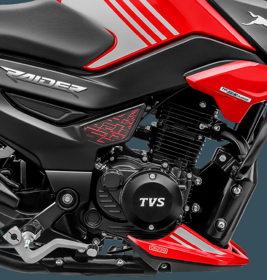 Body-colored engine guard